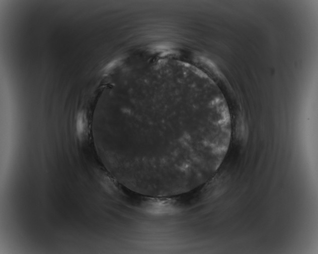 X0000084520569200703231633