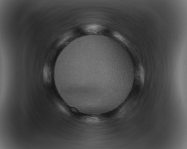X0000084520572200703231633