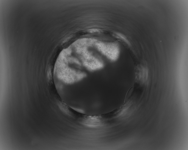 X0000084520573200703231633