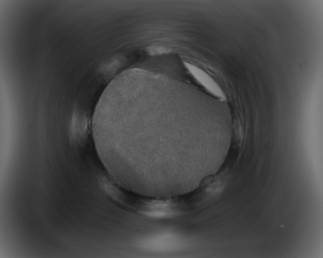 X0000084520574200703231633