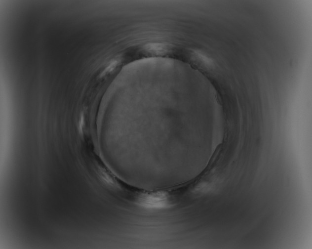 X0000084520576200703231633