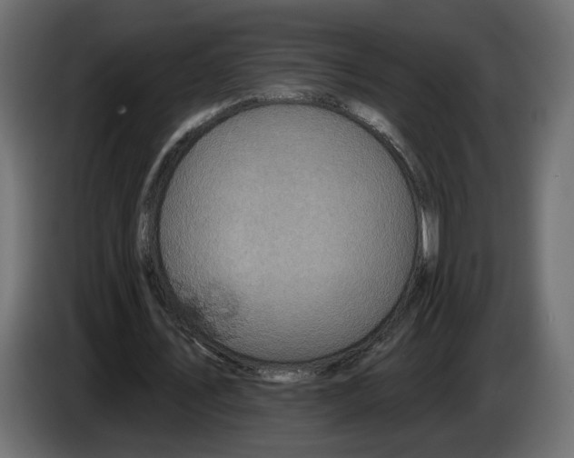 X0000084520579200703231632