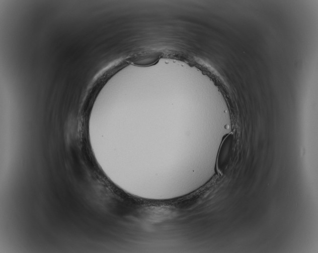 X0000084520583200703231632