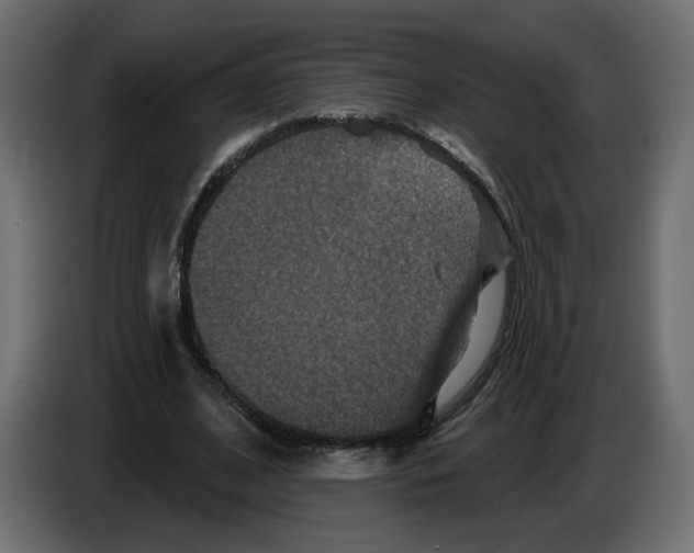 X0000084520584200703231632