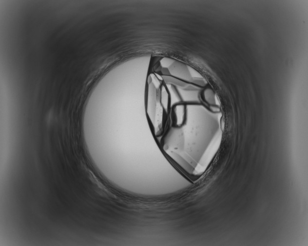 X0000084520585200703231632
