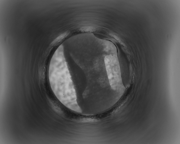 X0000084520586200703231632