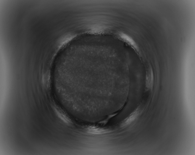 X0000084520588200703231632