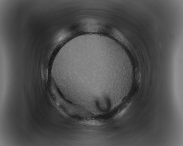 X0000084520589200703231632