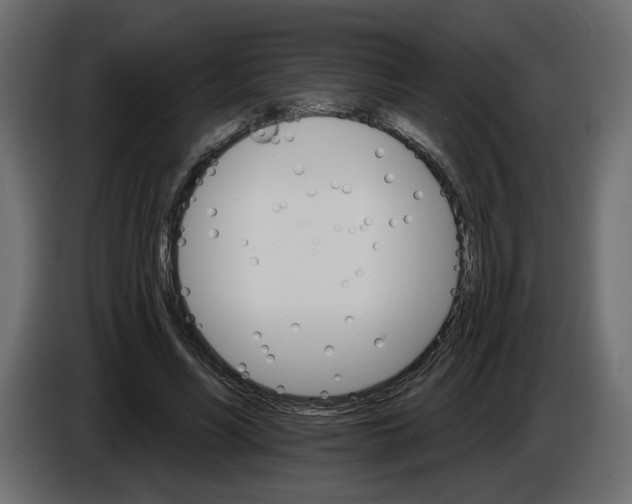 X0000084520590200703231632
