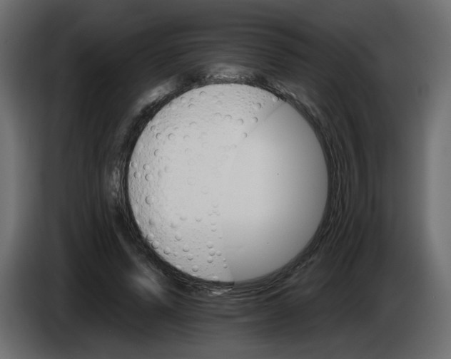 X0000084520591200703231632