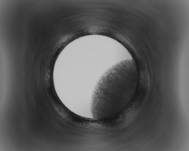 X0000084520592200703231632