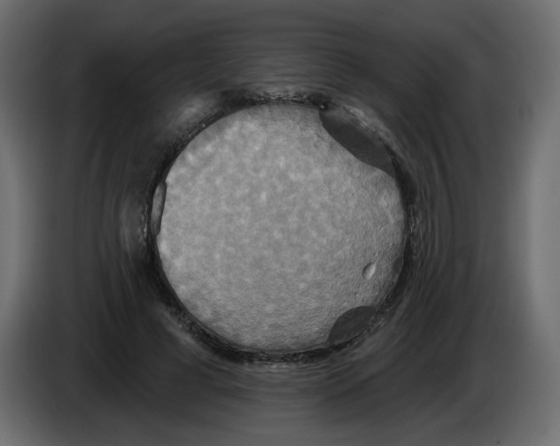 X0000084520593200703231632