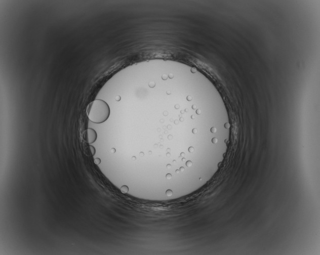 X0000084520594200703231632
