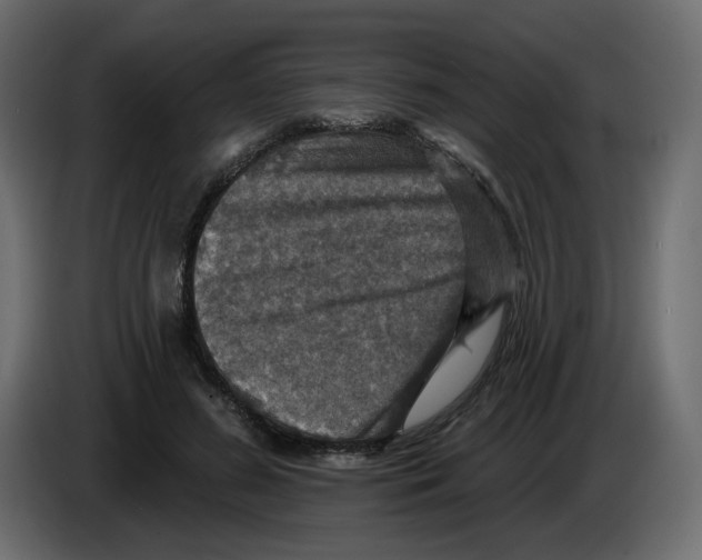 X0000084520596200703231632
