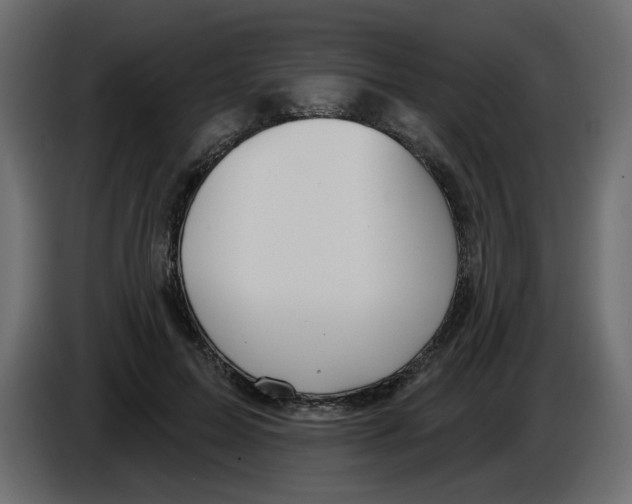 X0000084520599200703231632