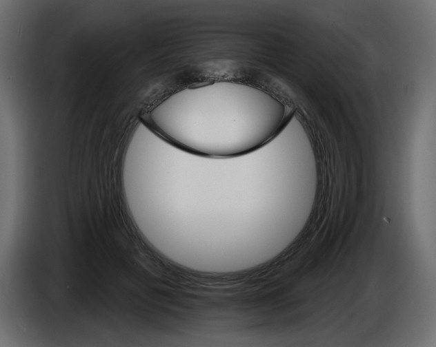X0000084520601200703231632