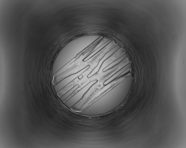 X0000084520604200703231632