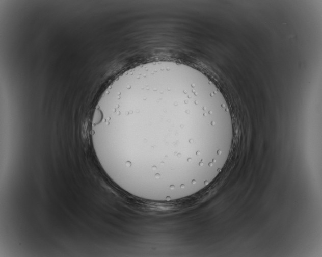X0000084520610200703231632
