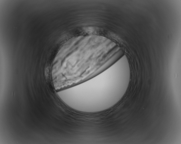 X0000084520611200703231632