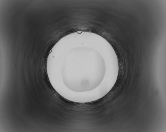 X0000084520612200703231632