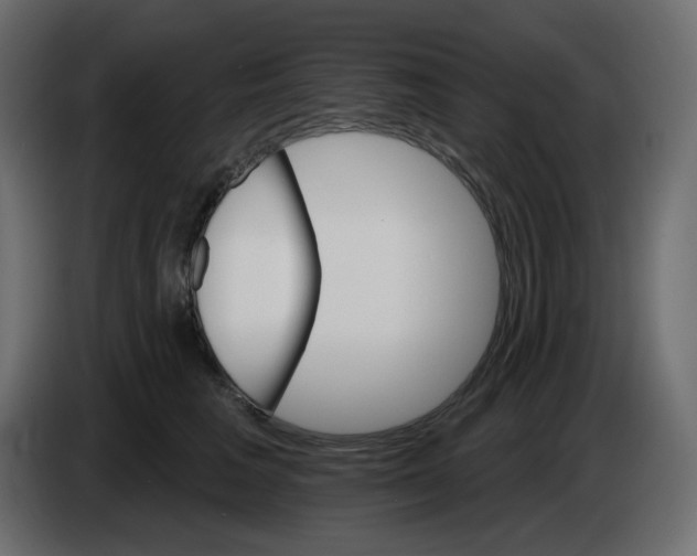 X0000084520613200703231632