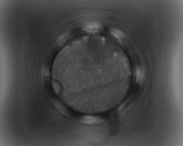 X0000084520614200703231632
