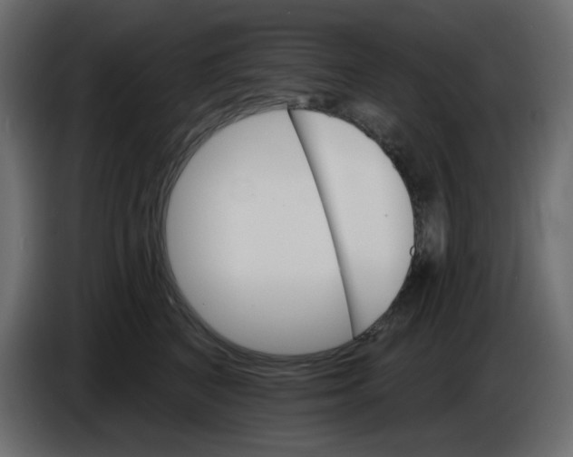 X0000084520616200703231632