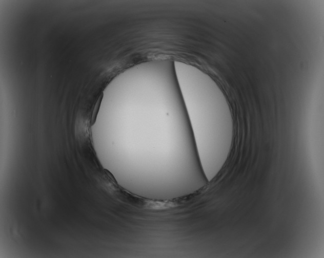 X0000084520621200703231632