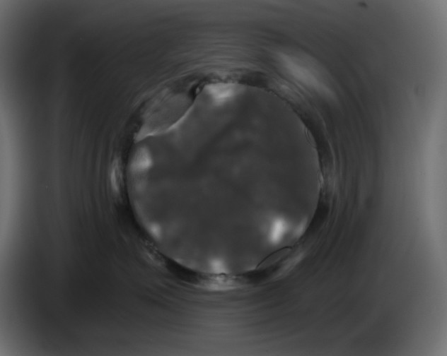 X0000084520623200703231632