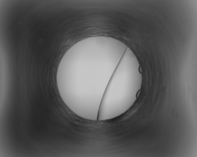 X0000084520624200703231632