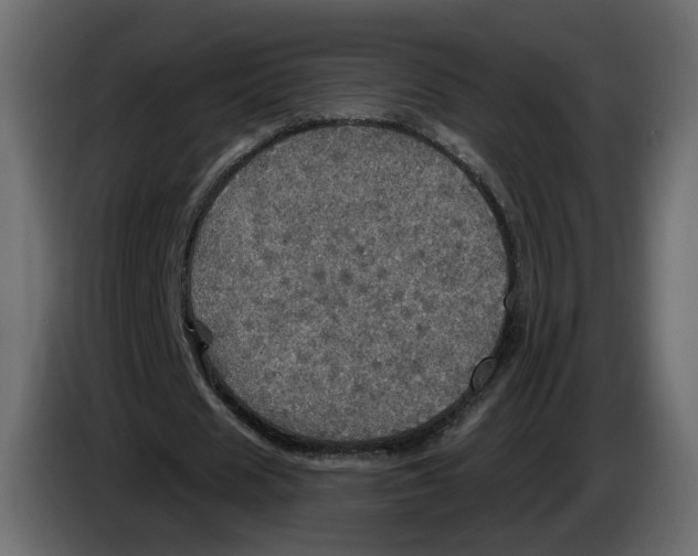 X0000084520625200703231631