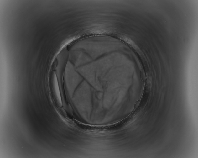 X0000084520626200703231631