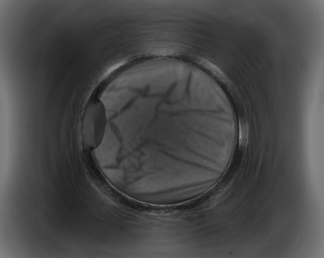 X0000084520627200703231631