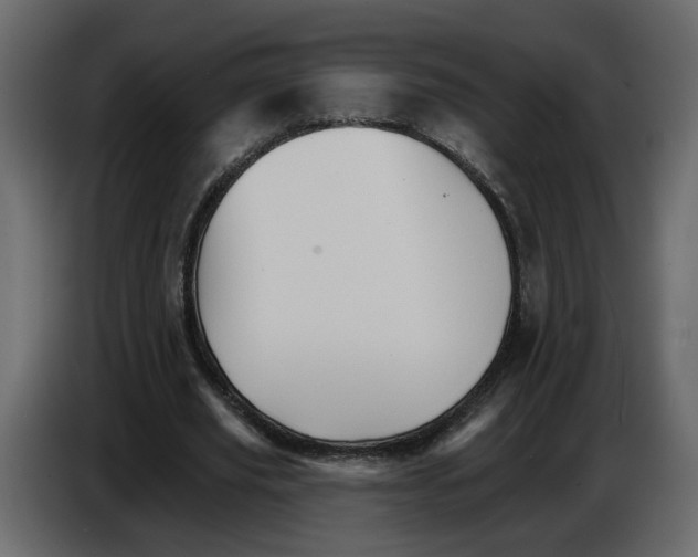 X0000084520629200703231631