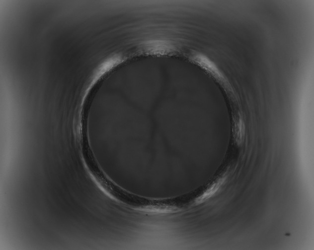 X0000084520630200703231631