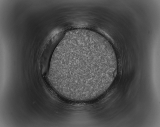 X0000084520631200703231631