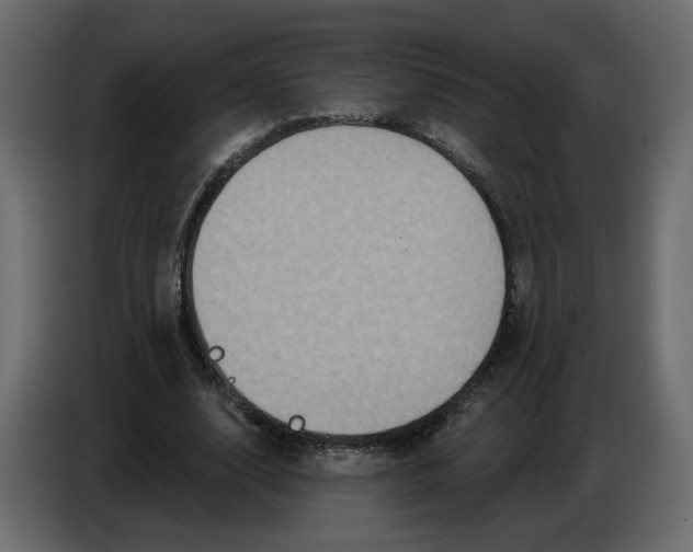 X0000084520632200703231631