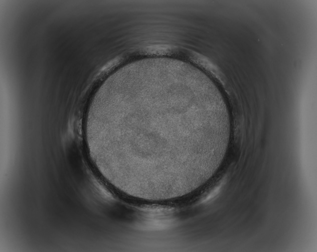 X0000084520633200703231631