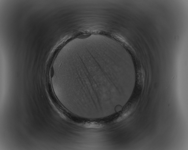 X0000084520634200703231631