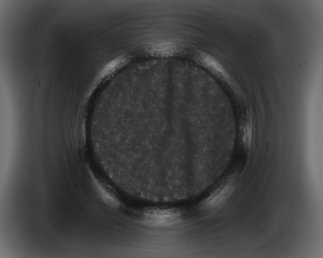 X0000084520638200703231631