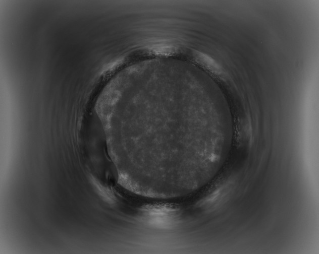 X0000084520639200703231631