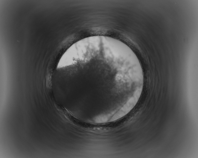 X0000084520641200703231631