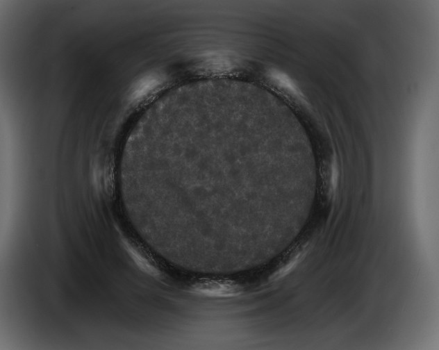 X0000084520642200703231631
