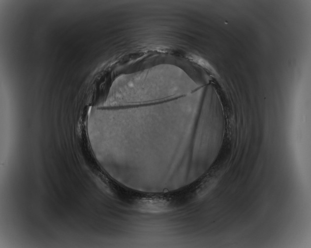 X0000084520644200703231631