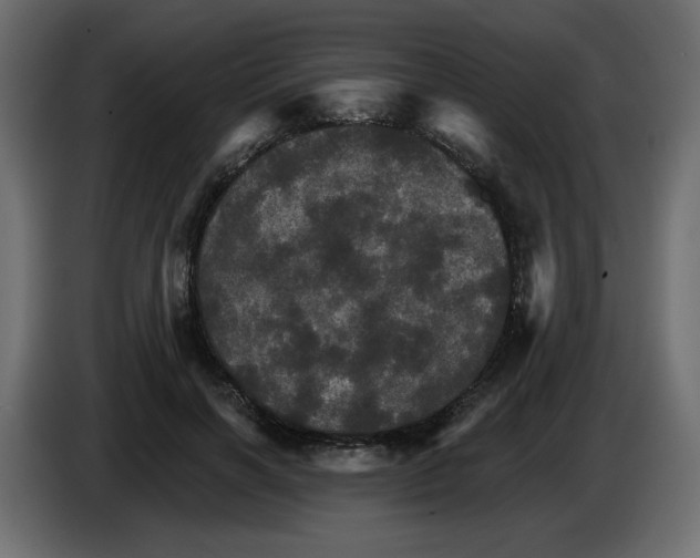 X0000084520646200703231631