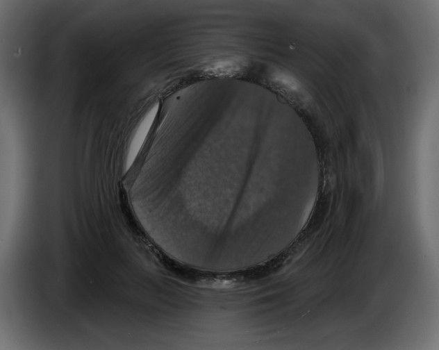 X0000084520647200703231631