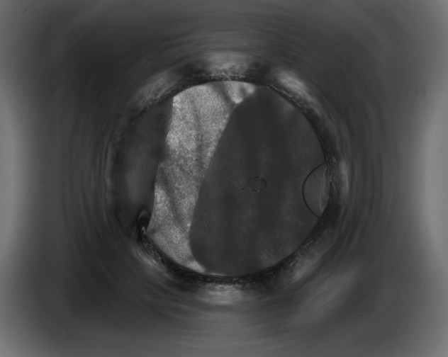 X0000084520649200703231631