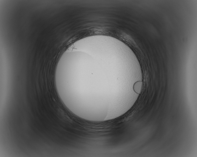 X0000084520650200703231631