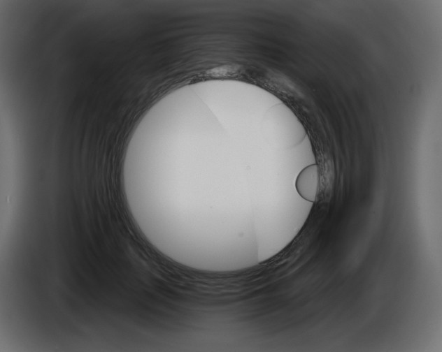 X0000084520651200703231631