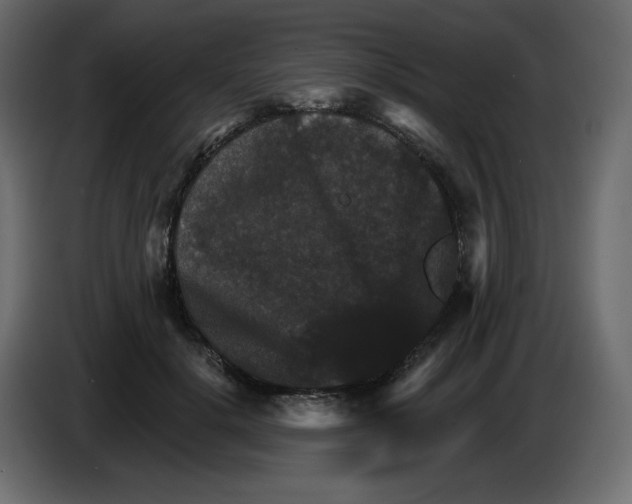 X0000084520652200703231631